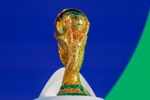 世界杯版权仍未官宣,颜强:FIFA要涨价,唯一版权谈判方不愿迁就