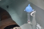 保养身体！詹姆斯晒训练后回家泡冰水浴🥶 促进下肢恢复