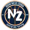 内斯兹奥纳