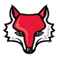 毛利斯特大学