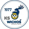 耶莱尼亚女篮